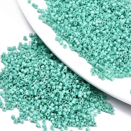 11/0 Grade A Baking Paint Glass Seed Beads X-SEED-S030-1038-1