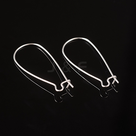 Brass Hoop Earrings Findings Kidney Ear Wires EC221-S-1