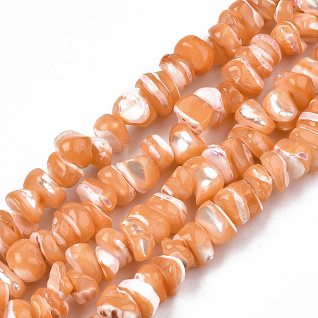 Natural Freshwater Shell Beads Strands SHEL-N003-23-B06-1