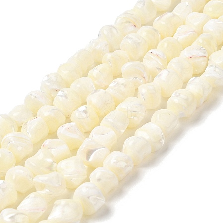 Natural Trochid Shell/Trochus Shell Beads Strands SHEL-F007-01-1