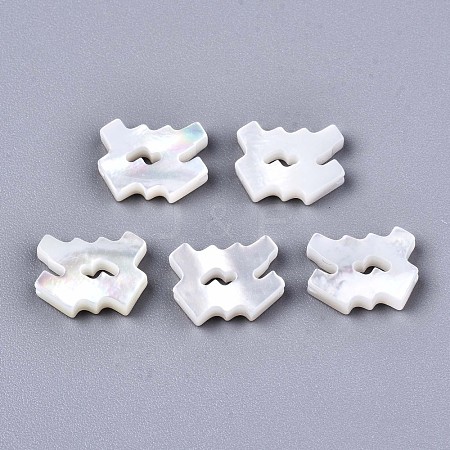 Natural White Shell Beads SSHEL-ZX004-02L-1