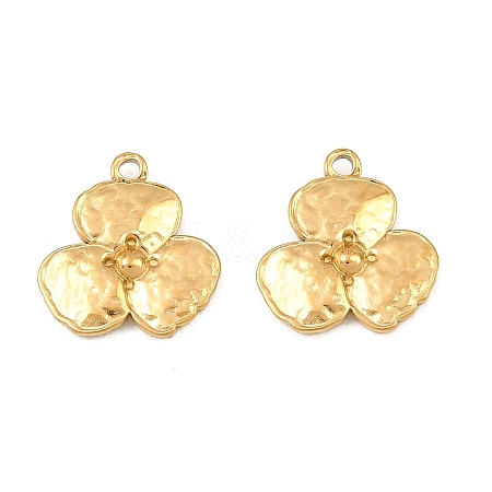 304 Stainless Steel Charms SA-CBA3ECF-05G-1