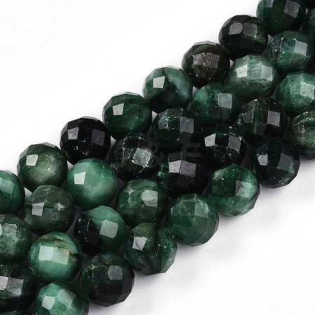 Natural Fuchsite Beads Strands G-T140-20C-1