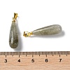 Natural Labradorite Teardrop Pendants X-G-Q005-03G-07-3