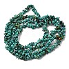 Natural HuBei Turquoise Bead Strands G-H345-A01-09-3