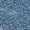 TOHO 6/0 Round Beads X-SEED-TR06-0263-3