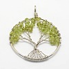 Tree of Life Natural Peridot Bead Brass Wire Wrapped Big Pendants KK-L136-01B-NR-1