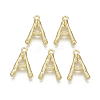 Alloy Pendants PALLOY-S137-001A-NR-1