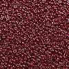 MIYUKI Round Rocailles Beads SEED-G009-RR0425-3