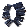 Natural Sodalite Beads Strands G-S386-D19-3