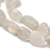 Natural White Moonstone Beads Strands G-P497-01E-69C-4