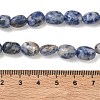 Natural Blue Spot Jasper Beads Strands G-C286-A01-5