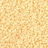 MIYUKI Round Rocailles Beads SEED-X0056-RR3325-2
