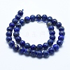 Natural Lapis Lazuli Beads Strands G-E483-17-8mm-3