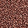 Baking Paint Glass Seed Beads GLAA-Q119-01-B06-3