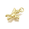 Rack Plating Brass Pendants KK-D343-07G-2