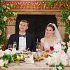 1Pc Polyester with Rhinestone Bow Ties for Bridegroom AJEW-SP0003-32A-7