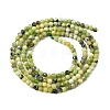 Natural Serpentine Beads Strands G-P603-C-2mm-06-3