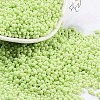 Baking Paint Glass Seed Beads X1-SEED-A033-05S-1