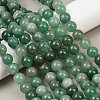 Natural Green Aventurine Beads Strands G-Q462-12mm-20-7