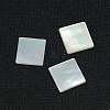 White Shell Cabochons SSHEL-I007-11-2