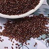MIYUKI Delica Beads SEED-MY11-DB1750-1