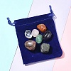 7Pcs Natural Labradorite & Amethyst & Rose Quartz & South Red Agate & Rhodonite & Green Aventurine & Quartz Crystal Tumbled Stone Sets DIY-FS0007-10B-10