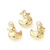Rack Plating Brass Pendants X-KK-D074-28G-2