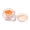 Nail Art Thermochromic Powder AJEW-B022-02-3