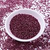 MIYUKI Delica Beads X-SEED-J020-DB2161-2