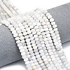 Natural White Crazy Agate Beads Strands G-P575-A04-6x4mm-03-1