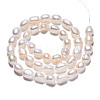 Natural Cultured Freshwater Pearl Beads Strands PEAR-N014-07H-2