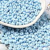 Baking Paint Glass Seed Beads SEED-B001-02A-08-1