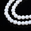 Natural Freshwater Shell Beads Strands BSHE-T009B-01A-4