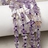 Natural Amethyst Beads Strands G-D365-E03-01-1