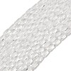 Transparent Glass Beads Strands GLAA-Z018-C16-1