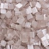 MIYUKI TILA Beads SEED-MY05-TL2553-1
