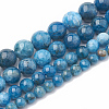 Natural Apatite Beads Strands G-S333-12mm-012-2