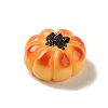 Opaque Resin Imitation Food Decoden Cabochons LS-CRES-A058-02F-2