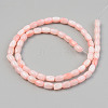 Natural Freshwater Shell Beads Strand X-SHEL-T017-39B-2