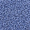 MIYUKI Delica Beads X-SEED-J020-DB2318-3