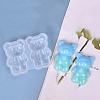 DIY Bear Display Decoration Silicone Molds DIY-P068-01-1