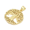 Brass Pendants KK-D317-114G-2