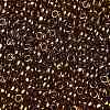 TOHO Round Seed Beads SEED-TR08-0421-2