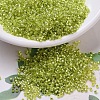 MIYUKI Delica Beads SEED-MY11-DB0147-1