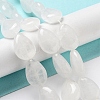 Natural Quartz Crystal Beads Strands G-P528-L23-01-1