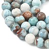 Natural Larimar Beads Strands G-C264-A01-10mm-4