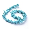 Natural Magnesite Beads Strands TURQ-G152-C01-2