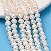 Natural Cultured Freshwater Pearl Beads Strands PA-CBABE82-15G-1
