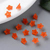 Transparent Acrylic Beads PL554-06-8